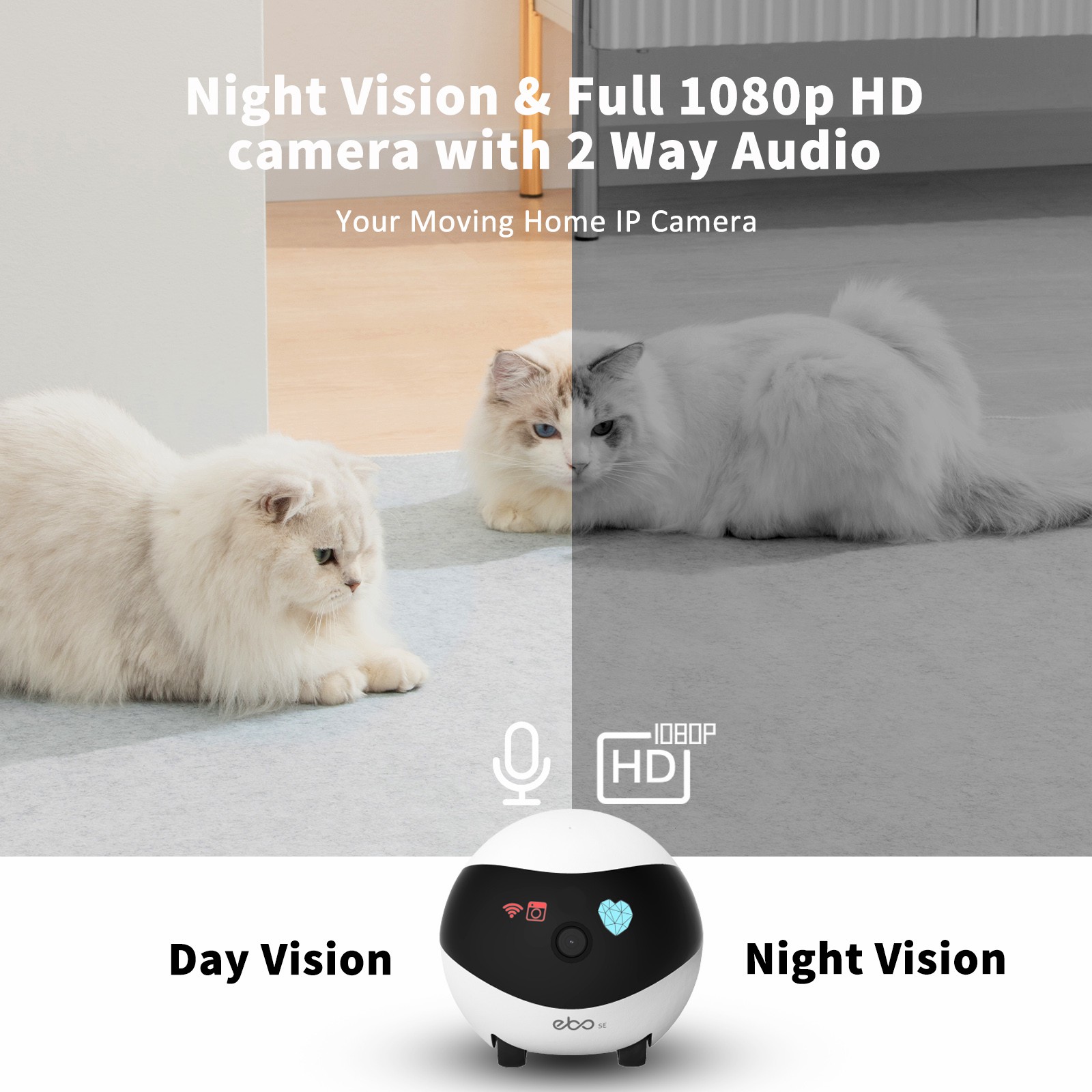 หุ่นยนต์อัจฉริยะ EBO SE สำหรับ - Home Security Robots บทวิจารณ์และราคา