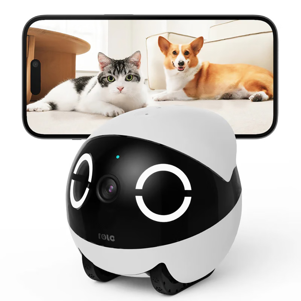 หุ่นยนต์สัตว์เลี้ยงขนาดเล็ก ดี - Home Security Robots บทวิจารณ์และราคา